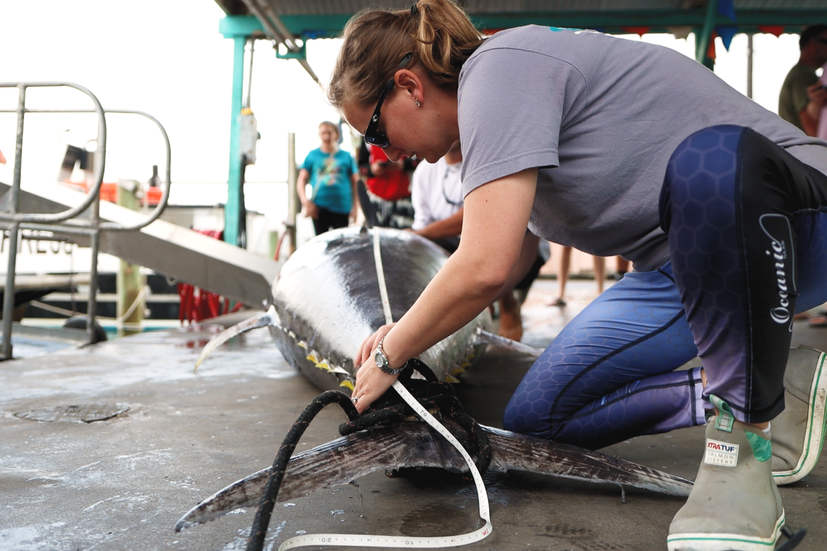 Measuring a tuna