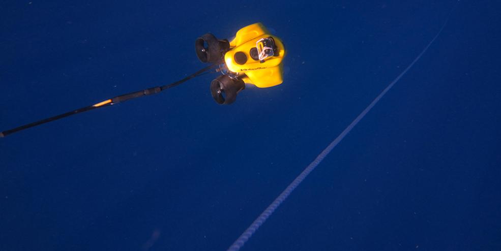 The ROV following a buoy line down to an artificial reef site to complete a fish survey. We have developed methods to quickly access the fish communities on reefed platform structures using our ROV.