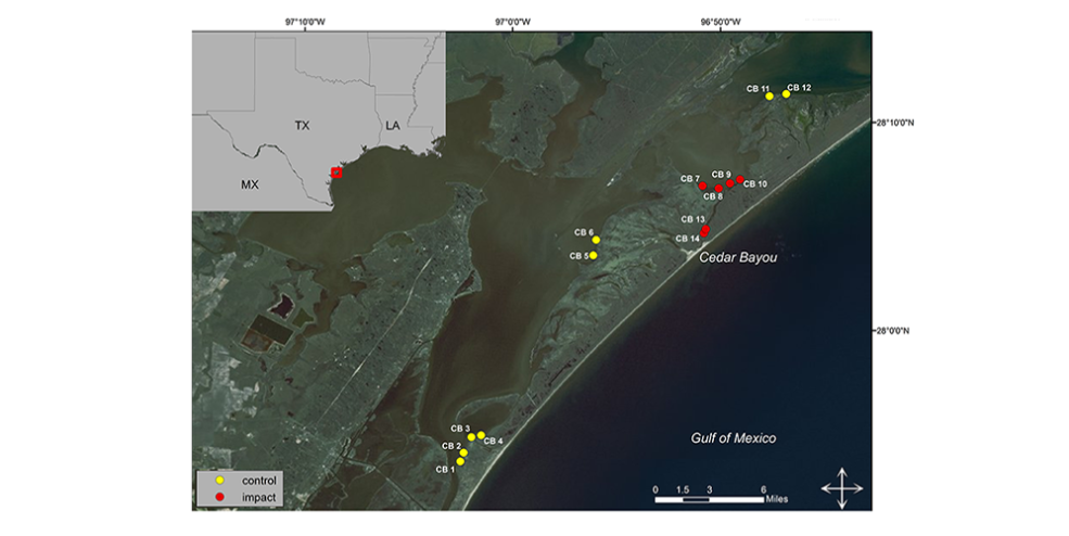 Map of the study area where samples have been collected since 2012