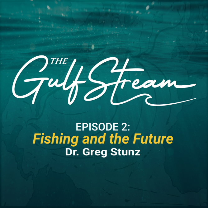 The Gulf Stream Podcast - Dr. Stunz