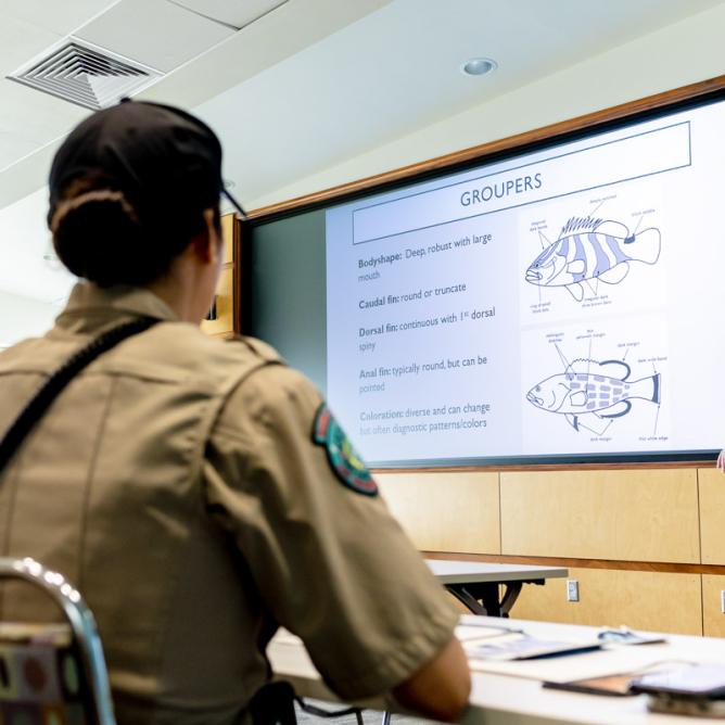 Texas fish ID workshop