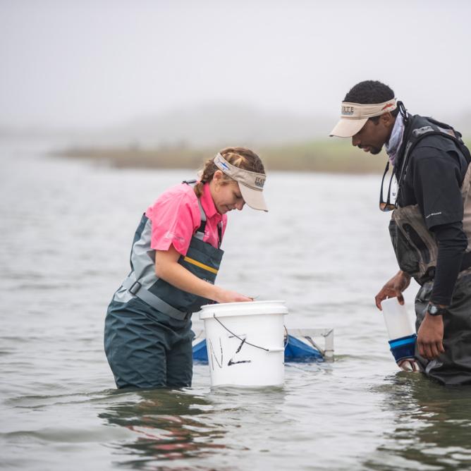 Matagorda Bay sampling