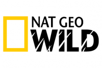 Nat Geo Wild