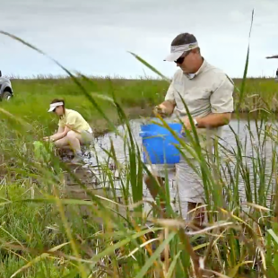 SportfishTV